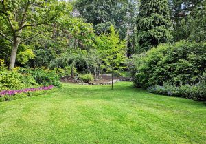 Optimiser l'expérience du jardin à Beaucé